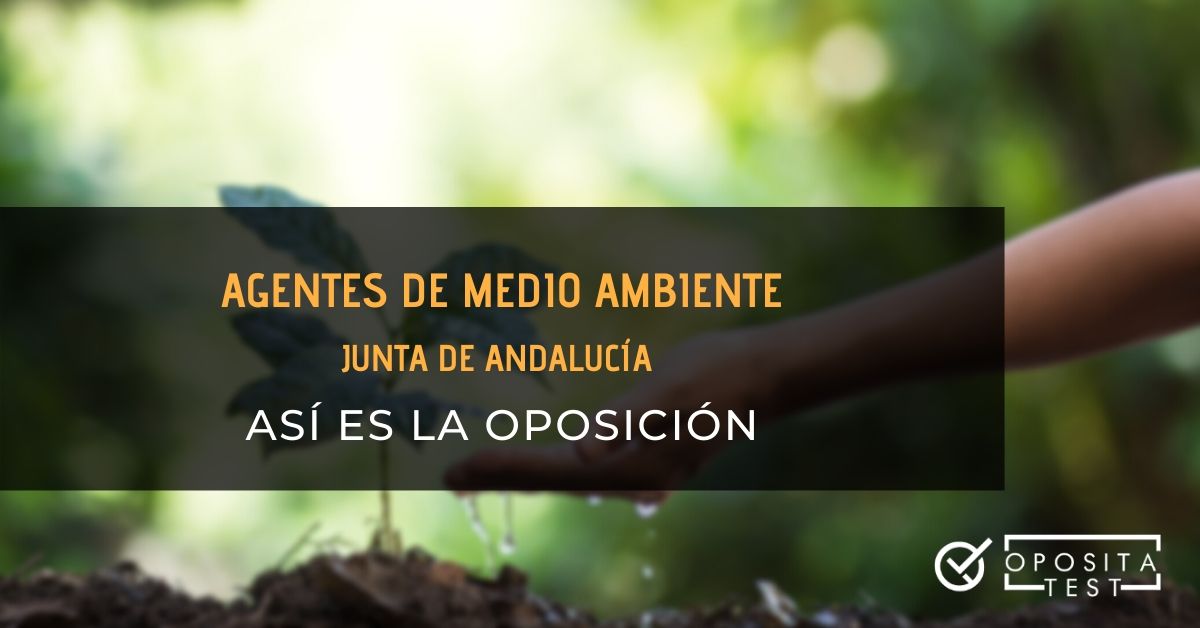 Arbitraje Fangoso cascada Cómo es la oposición a Agentes de Medio Ambiente de Andalucía? ?