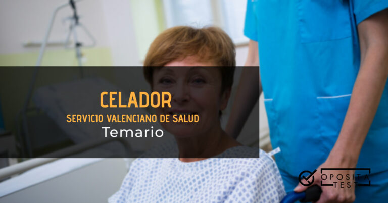 Celadora llevando a una paciente en silla de ruedas. Toda la imagen está fuera de foco. Se utiliza para ilustrar una entrada sobre el temario de celador del Servicio Valenciano de Salud.